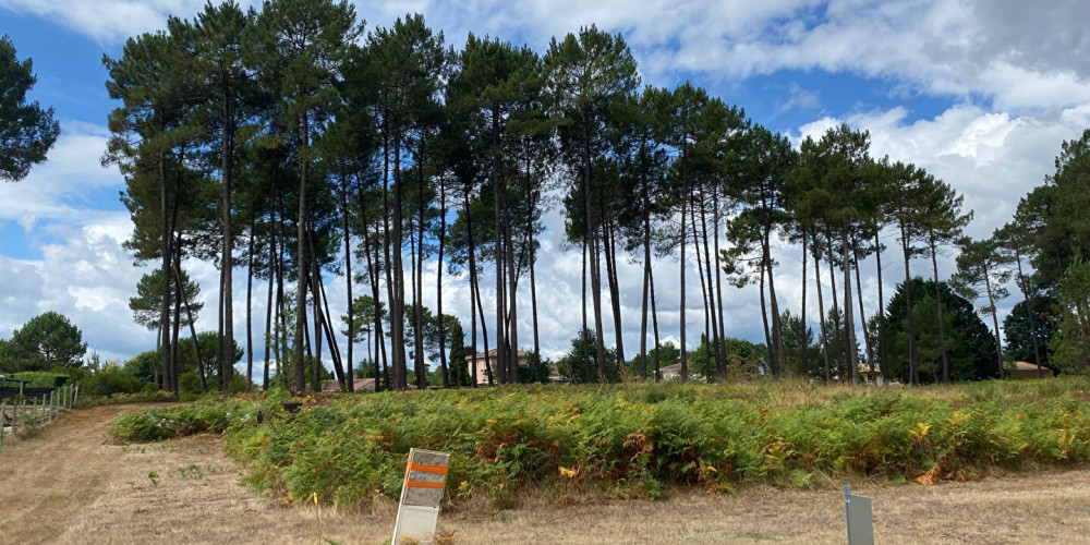 terrain à RION DES LANDES (40370)