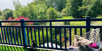 appartement à ST VINCENT DE TYROSSE (40230)