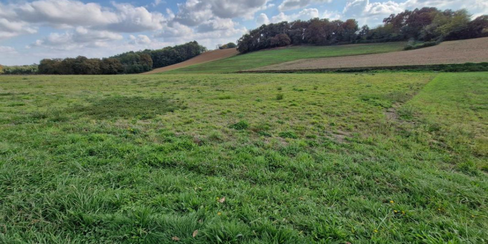terrain à ST AUBIN (40250)