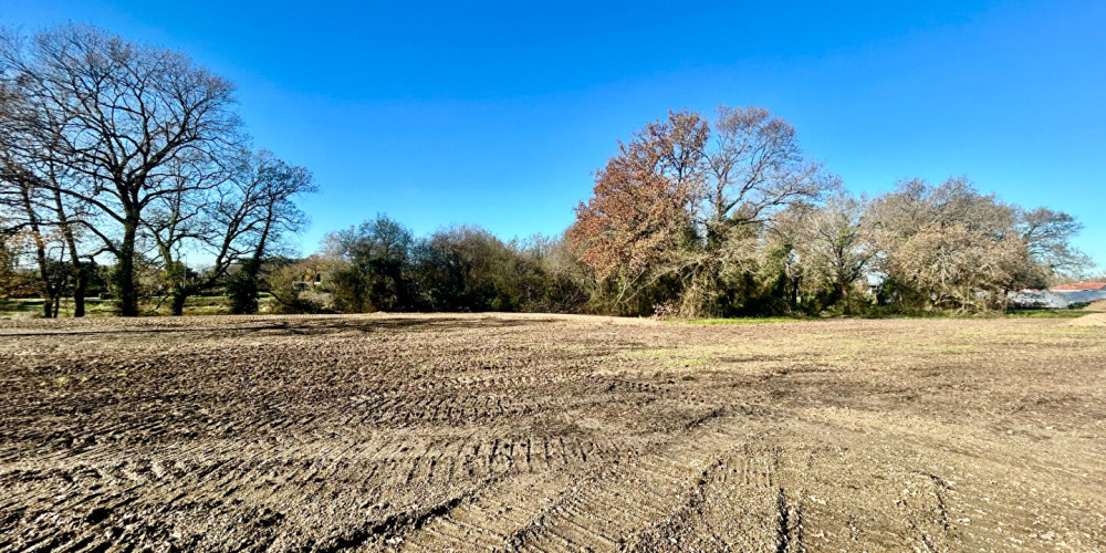 terrain à MONT DE MARSAN (40000)