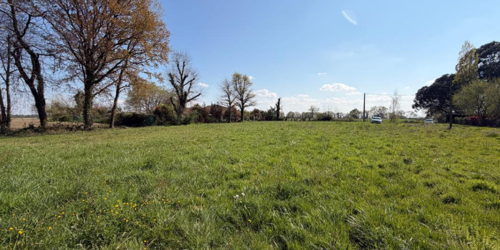 terrain à MONTGAILLARD (40500)