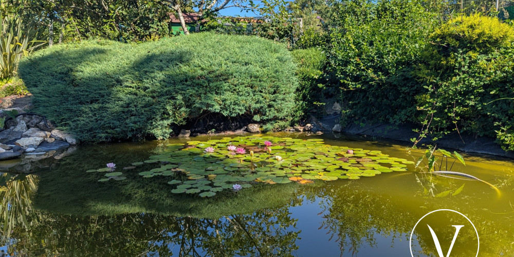 maison à MONTSOUE (40500)