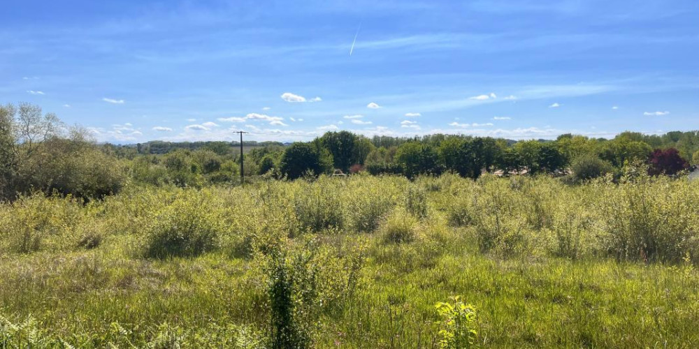 terrain à SORDE L ABBAYE (40300)