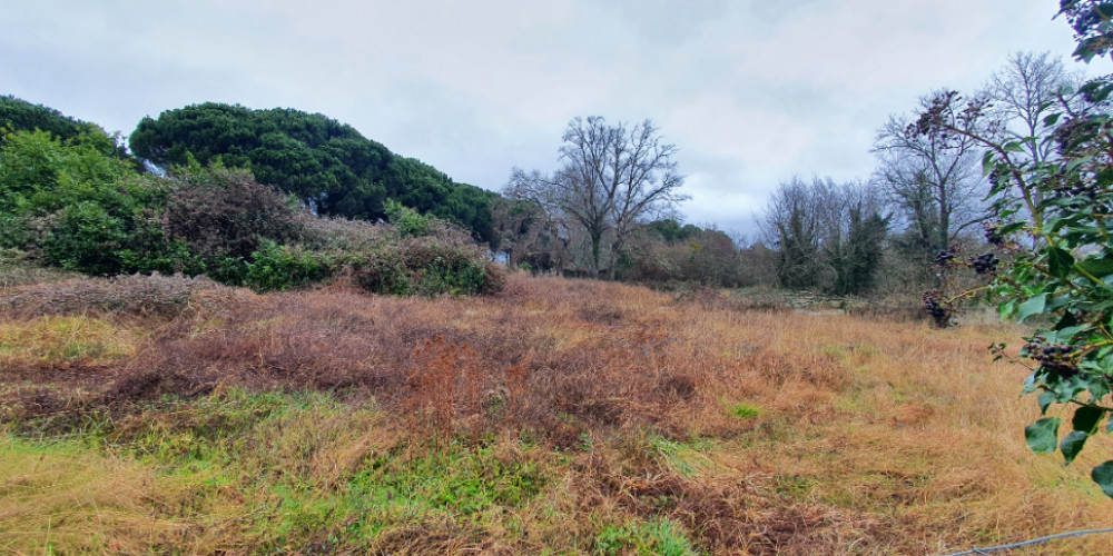terrain à MONT DE MARSAN (40000)
