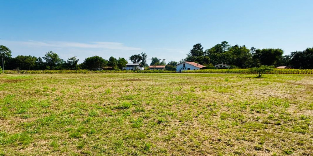 terrain à SEIGNOSSE (40510)