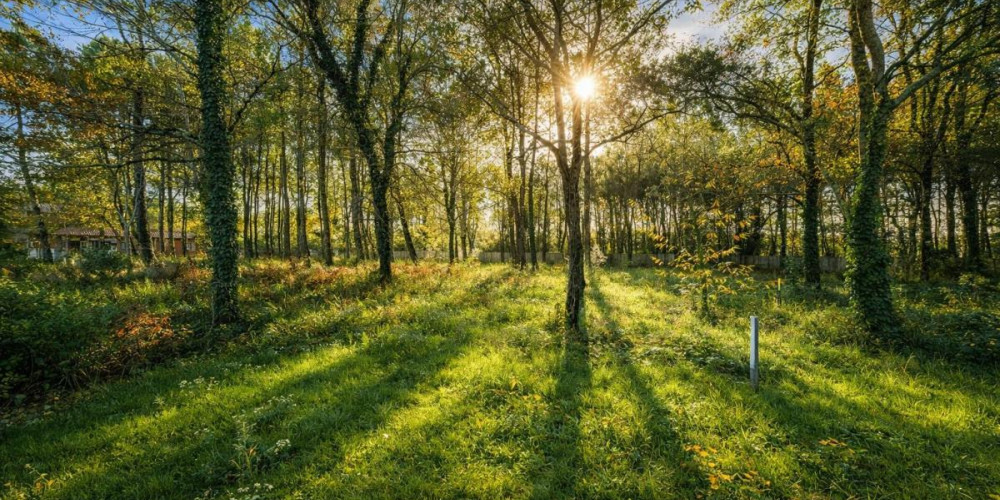 terrain à SEIGNOSSE (40510)