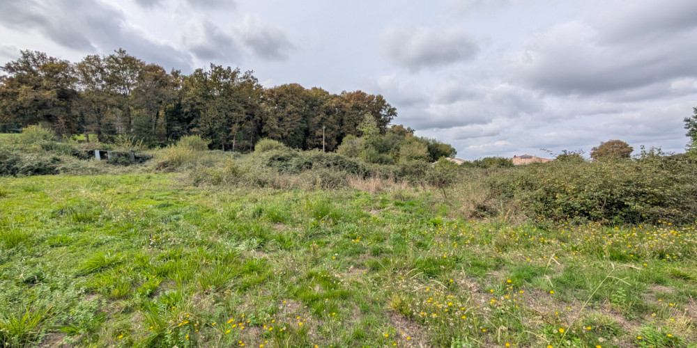 terrain à MONT DE MARSAN (40000)