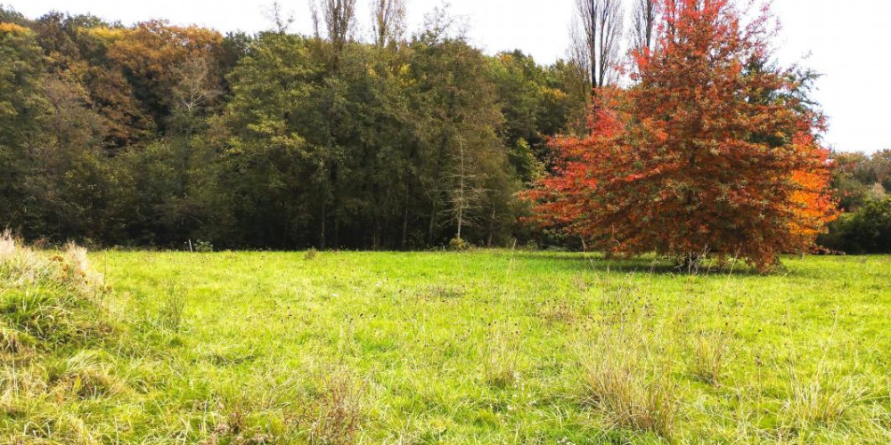 terrain à STE COLOMBE (40700)