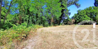 terrain à ONDRES (40440)