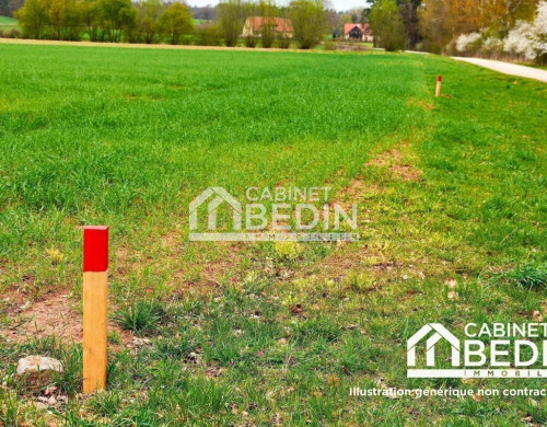 terrain  PARENTIS EN BORN