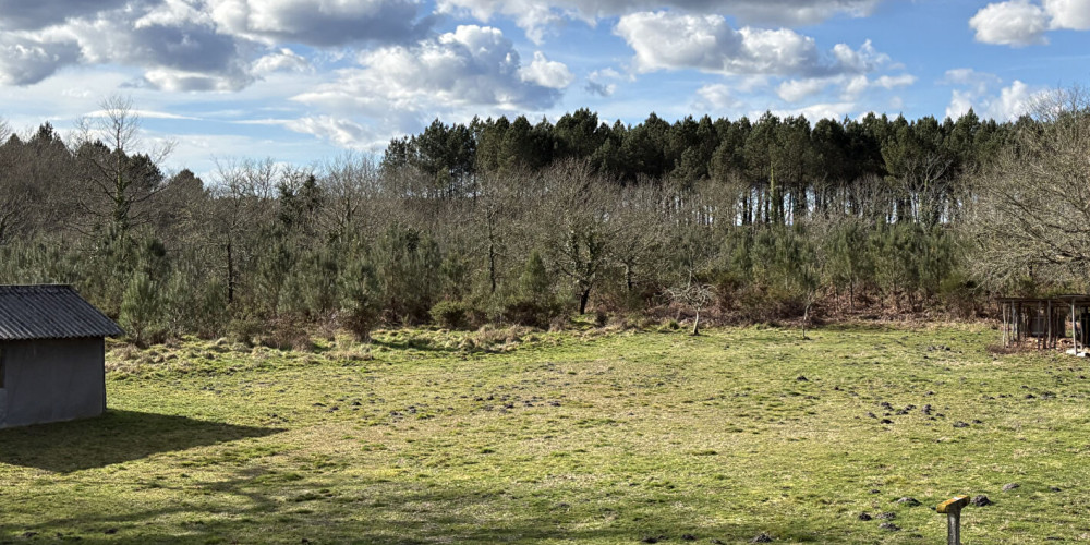 maison à RION DES LANDES (40370)