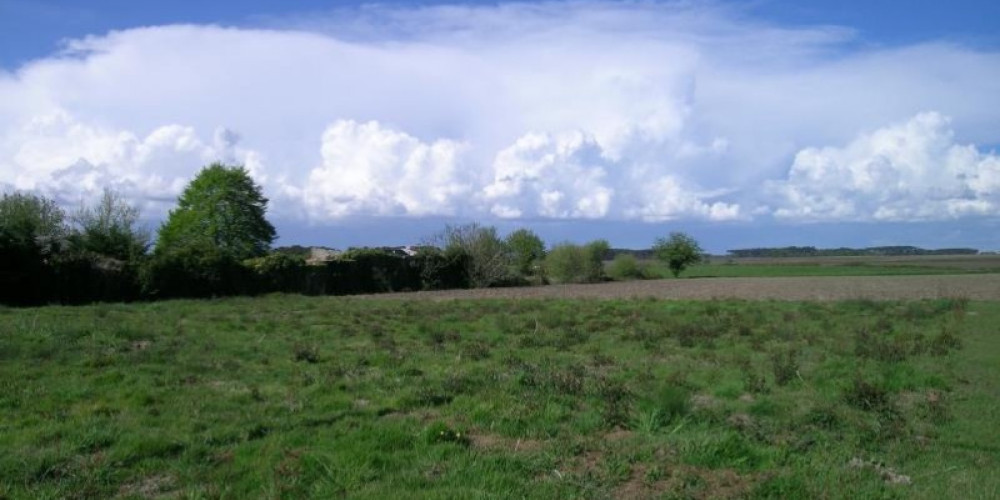 terrain à HAGETMAU (40700)
