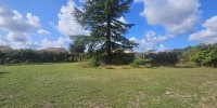 terrain à PARENTIS EN BORN (40160)