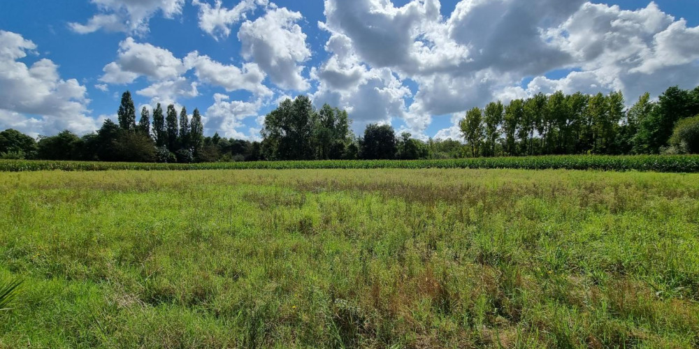 terrain à PEYREHORADE (40300)