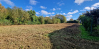 terrain à MEZOS (40170)