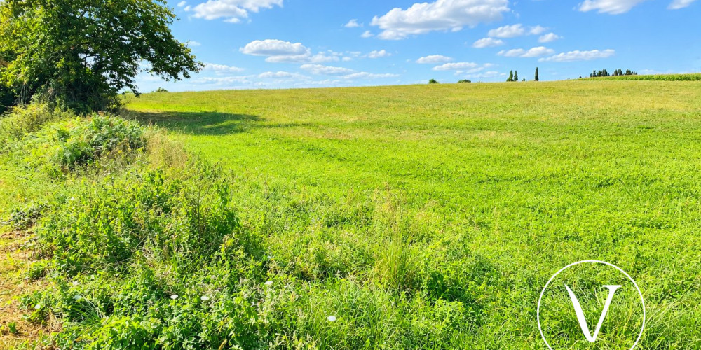 terrain à MONSEGUR (40700)