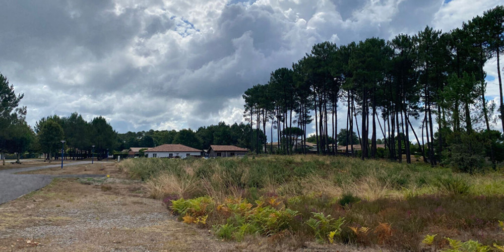 terrain à RION DES LANDES (40370)