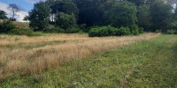 terrain à HORSARRIEU (40700)