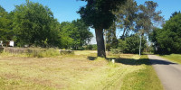 terrain à ST PERDON (40090)