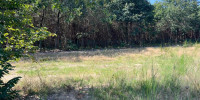 terrain à TOSSE (40230)