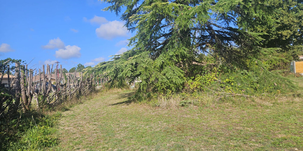 terrain à PARENTIS EN BORN (40160)
