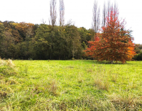 terrain  STE COLOMBE