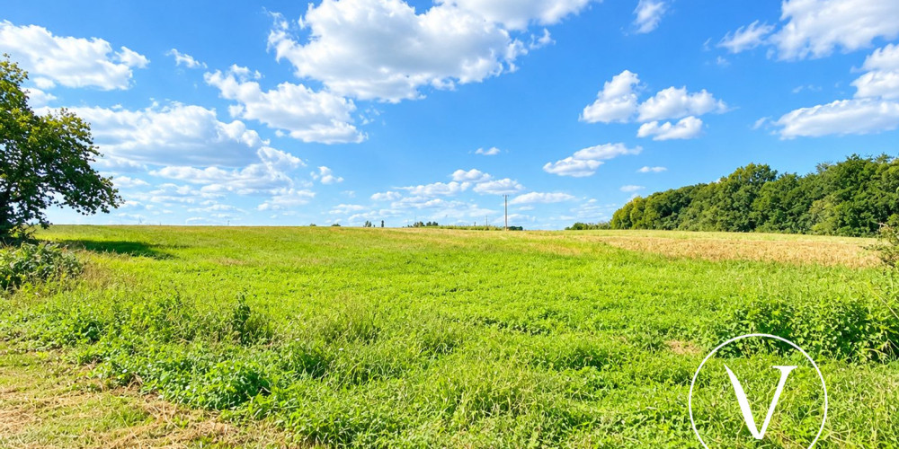 terrain à MONSEGUR (40700)