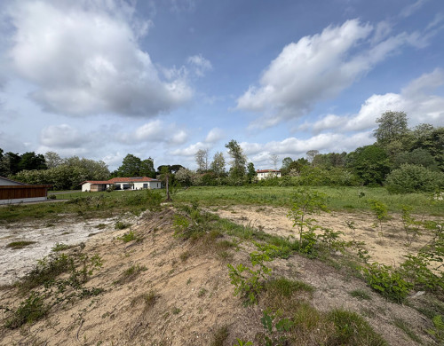 terrain  RION DES LANDES