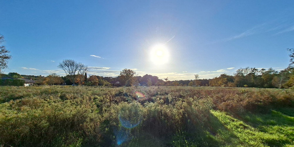 terrain à ST MICHEL ESCALUS (40550)