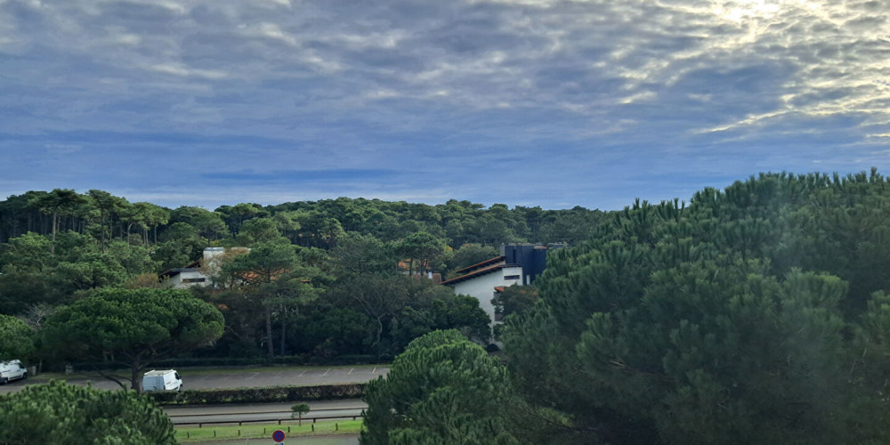 appartement à SEIGNOSSE (40510)