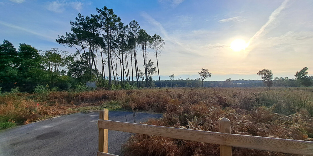 terrain à MOLIETS ET MAA (40660)