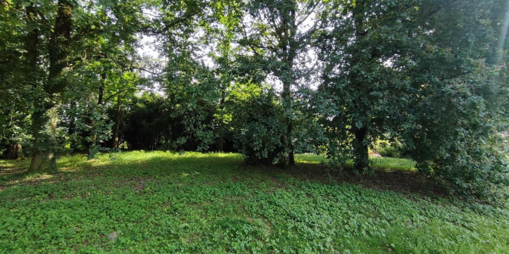 terrain à PEYREHORADE (40300)