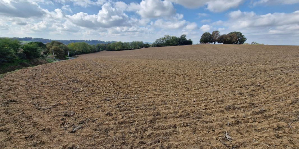 terrain à ST AUBIN (40250)