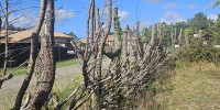 terrain à PARENTIS EN BORN (40160)