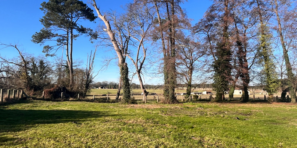 maison à BEGAAR (40400)