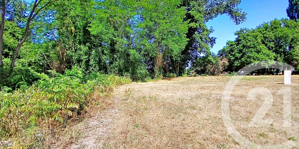 terrain à ONDRES (40440)