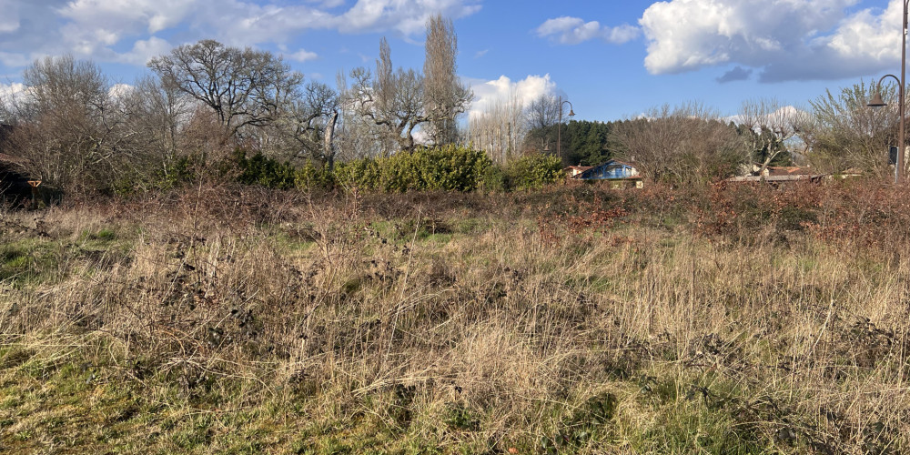 terrain à RION DES LANDES (40370)