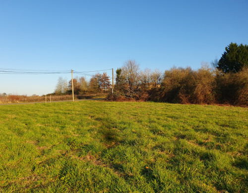 terrain  ST SEVER