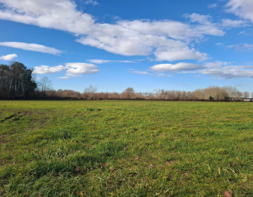 terrain  STE MARIE DE GOSSE