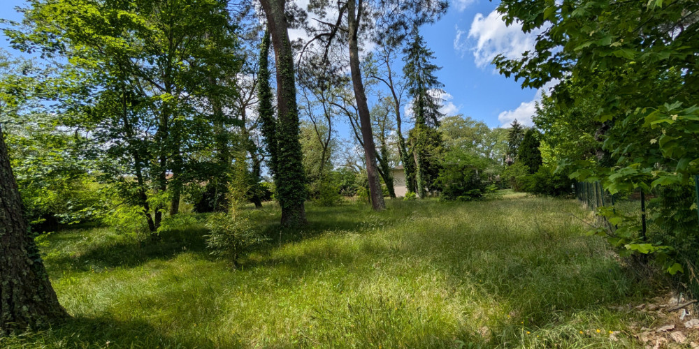 terrain à MONT DE MARSAN (40000)