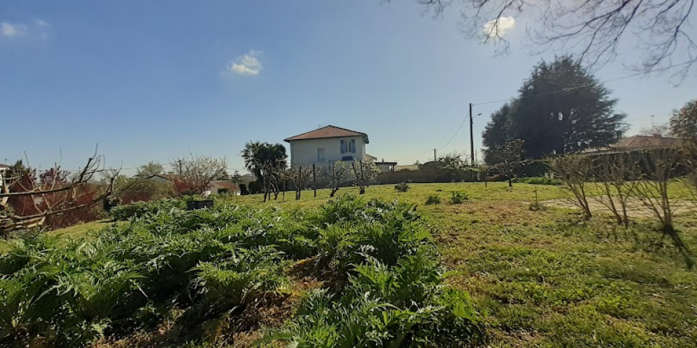 terrain à DAX (40100)