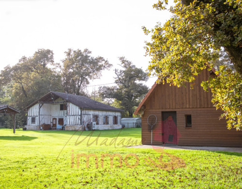 maison  BELIS