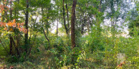 terrain à MORCENX (40110)