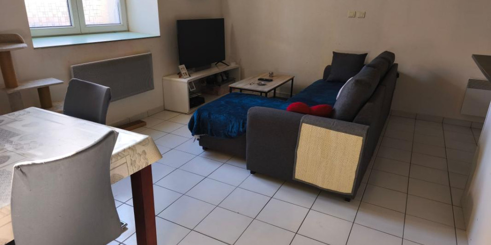 appartement à VILLENEUVE DE MARSAN (40190)