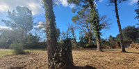 terrain à MOLIETS ET MAA (40660)