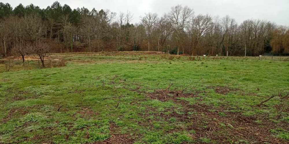 terrain à RION DES LANDES (40370)