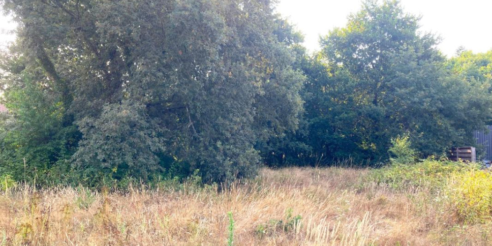 terrain à MORCENX (40110)