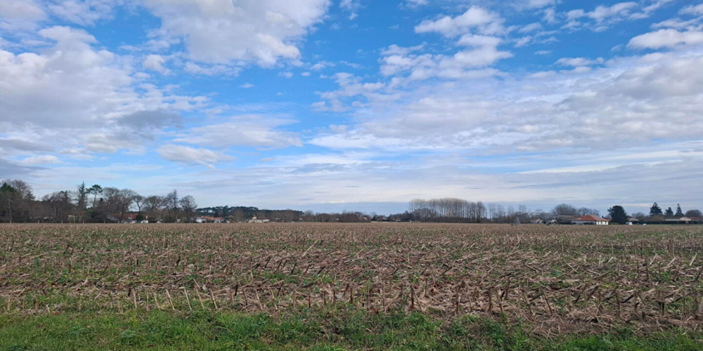 terrain à ST JEAN DE MARSACQ (40230)