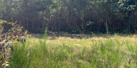 terrain à TOSSE (40230)