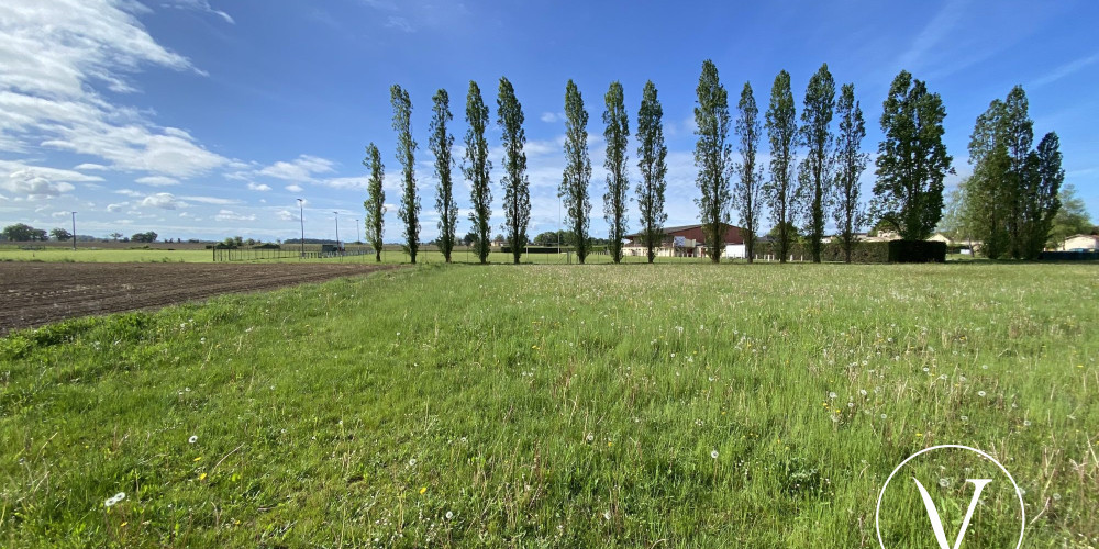 terrain à MIRAMONT SENSACQ (40320)